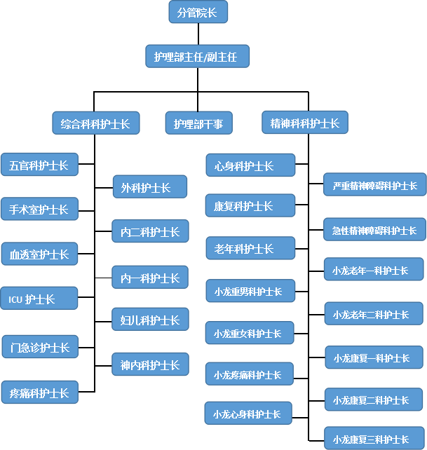 护士级别层级图片
